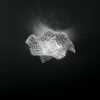I-RUMBA-H2O/PL44 - immagine 2