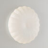 I-SPRING-PL30 - immagine 2