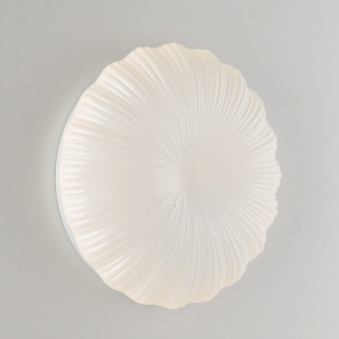 I-SPRING-PL40 - immagine 2