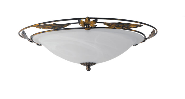 RICCIO/PL50 - immagine 4