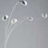 I-ERACLE-PT BCO - immagine 2