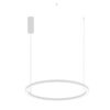 LED-HOOP-S80-BCO