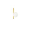 I-ENOIRE-AP1-ORO