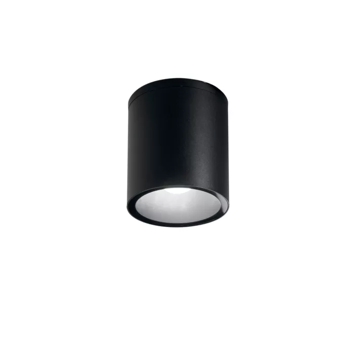 I-CITIZEN-R1-NER - immagine 3