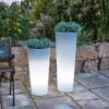 I-GECO-VASO-E-R-L - immagine 4