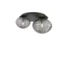 I-RIPPLE-PL2-NER - immagine 2