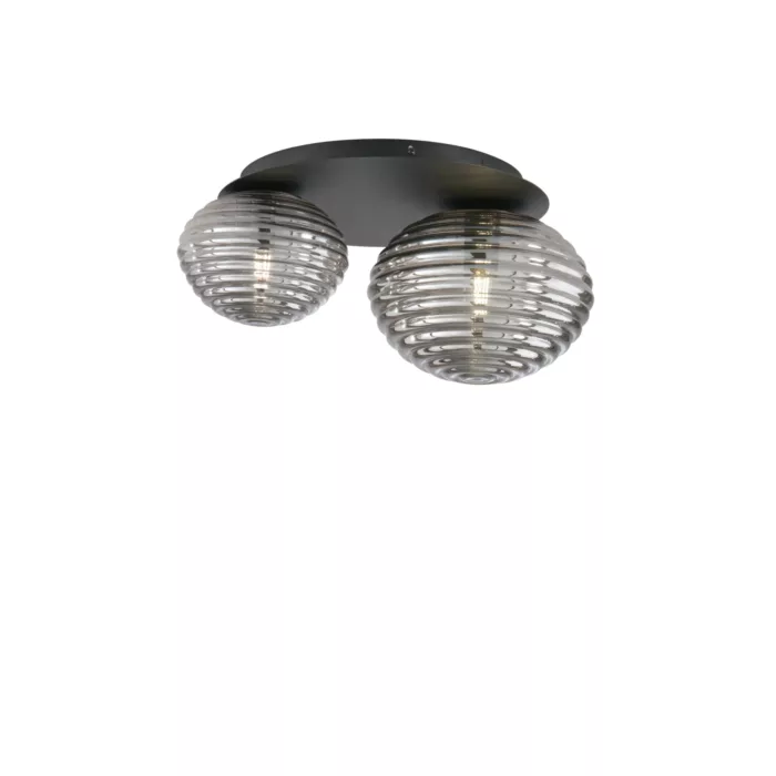I-RIPPLE-PL2-NER - immagine 2