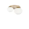 I-RIPPLE-PL2-ORO - immagine 2
