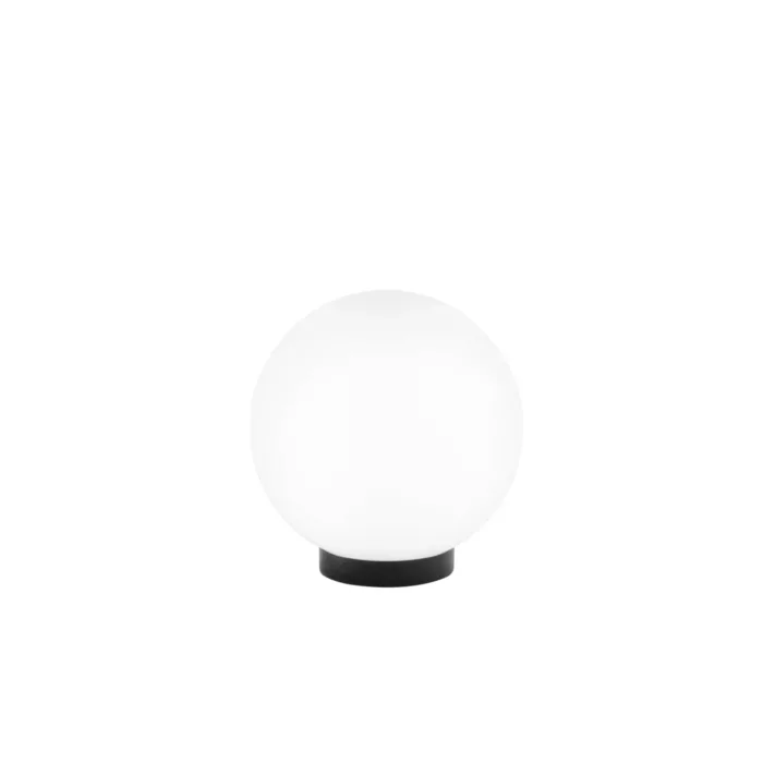 I-POLLY-G20-BCO - immagine 3