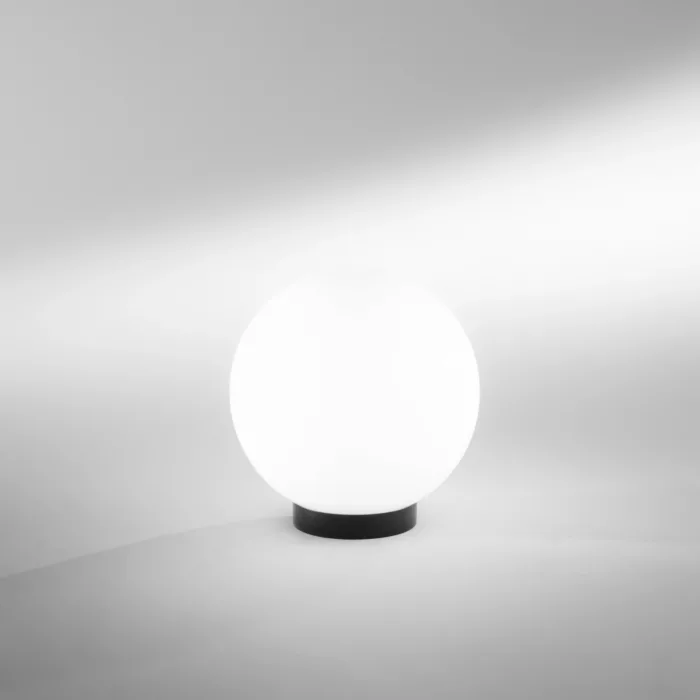 I-POLLY-G20-BCO - immagine 4