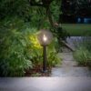 I-POLLY-G30-TR - immagine 4