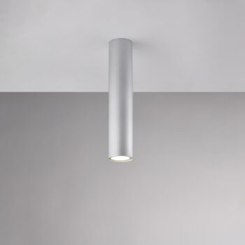 Plafoniera in ferro laccato bianco GU10 con decorazione argento antico 1 luce