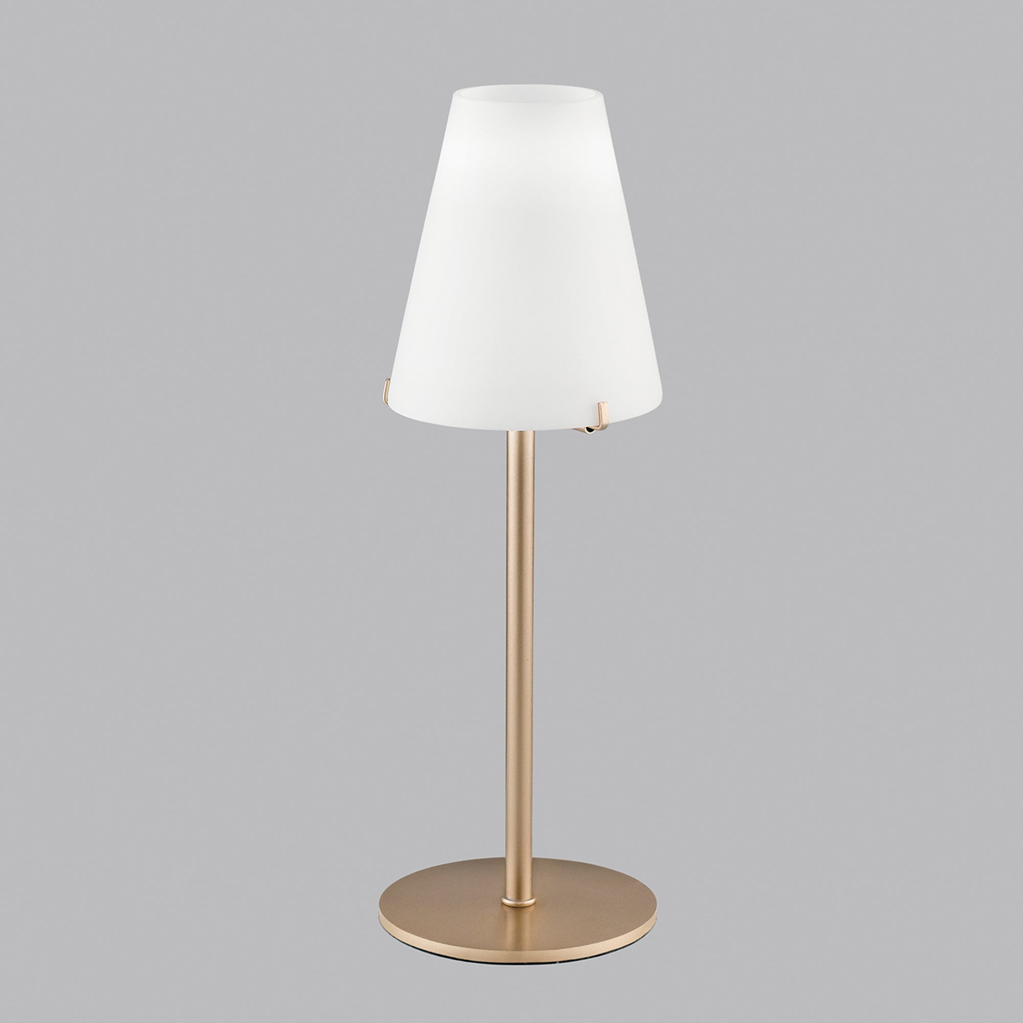 I-CANTO_L1_cea205c8-047b-4e00-84b0-492baf8ef8e1