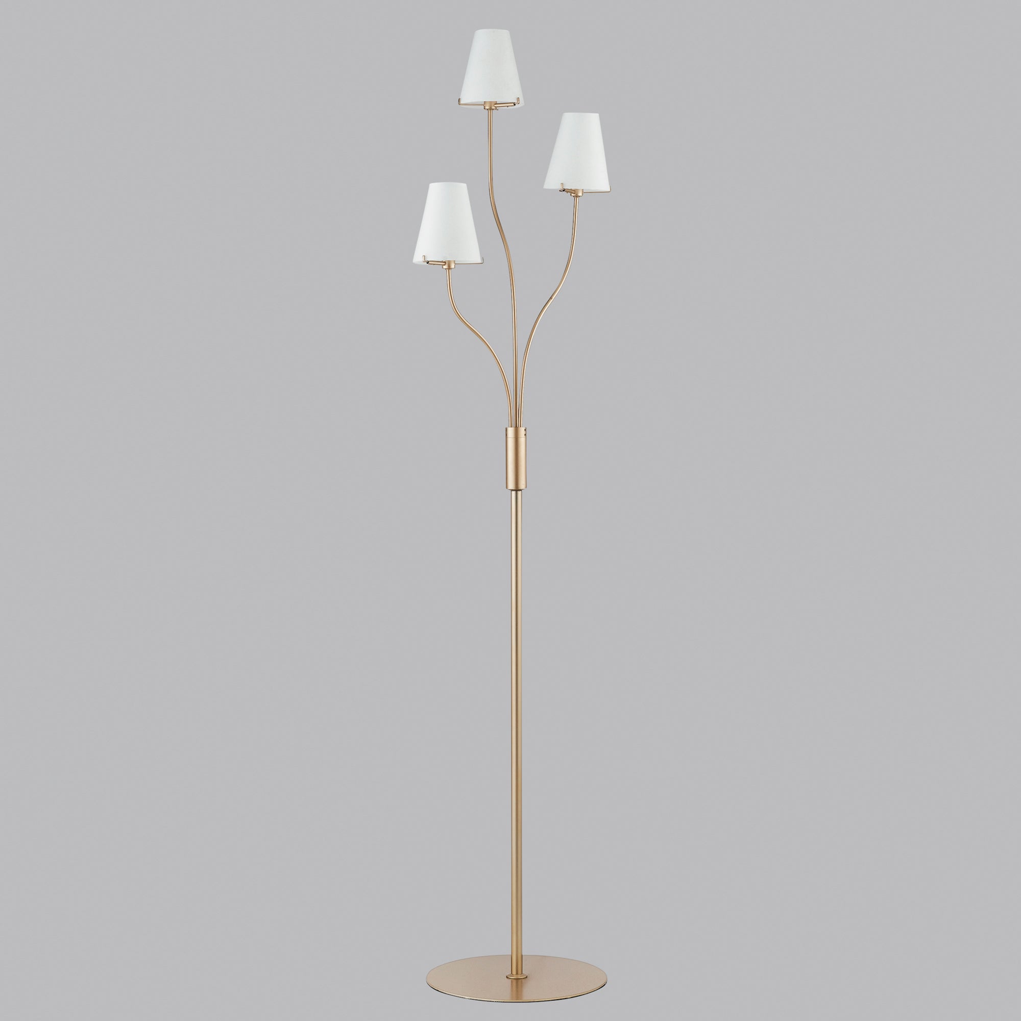 I-CANTO_PT3_231ac20e-4407-4f0b-a988-67062018054d