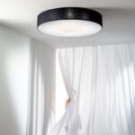 I-CAPITAL-PL98-NER_S