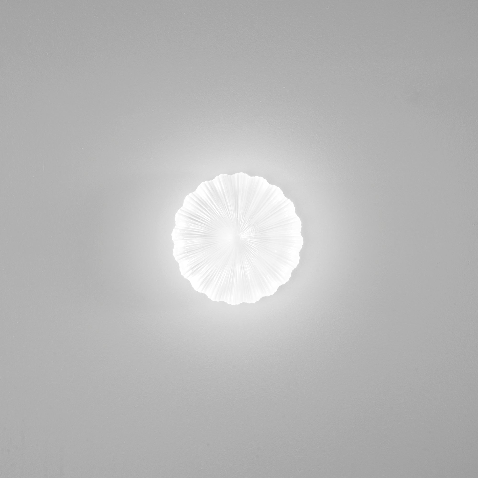 I-SPRING-PL30_T_6471c1c6-950a-41ee-8688-21972c85f11c