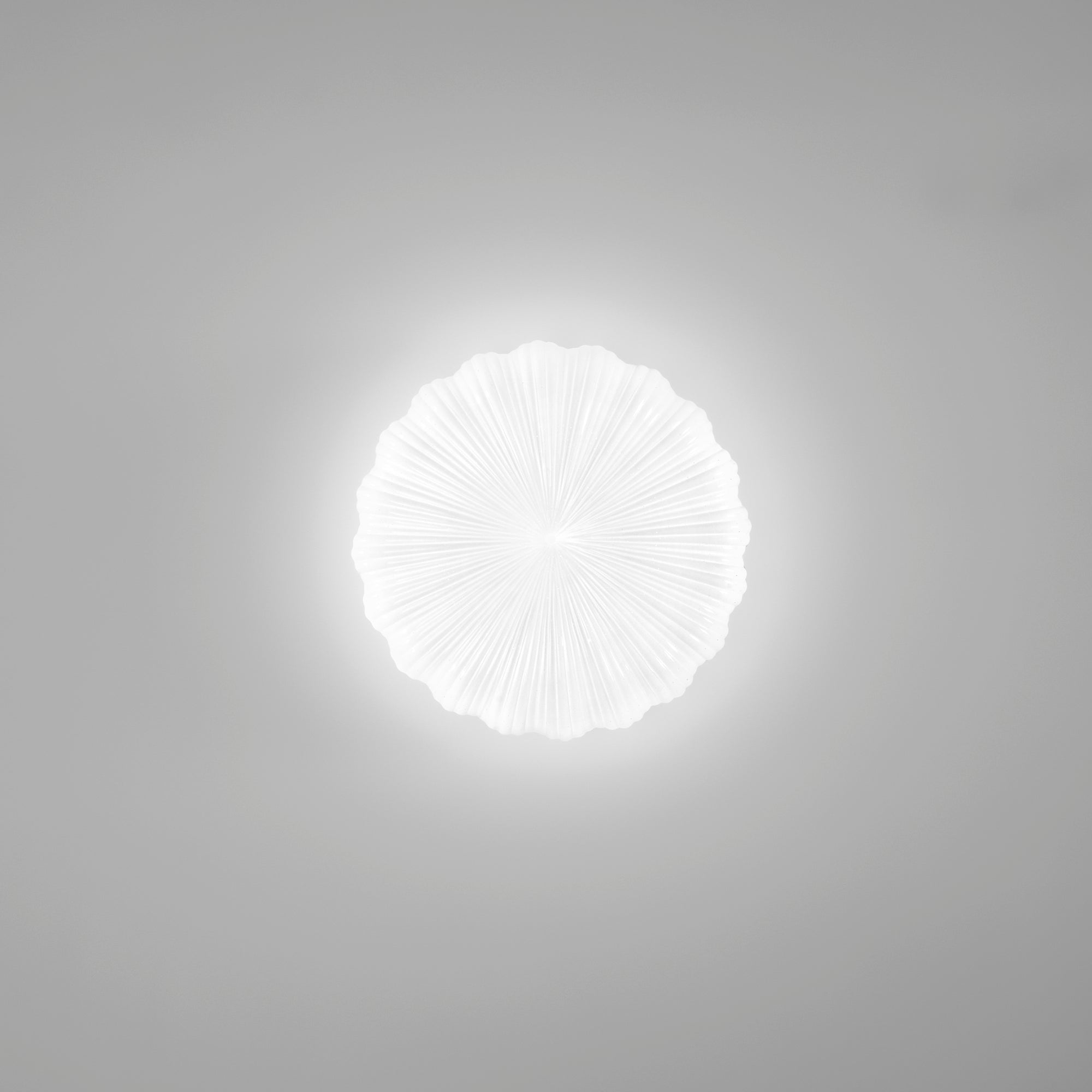 I-SPRING-PL40_T_c5fa21d0-ec2f-4695-9ac8-17a66fe318fe