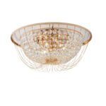 I-VIENNA-PL45OROcopia