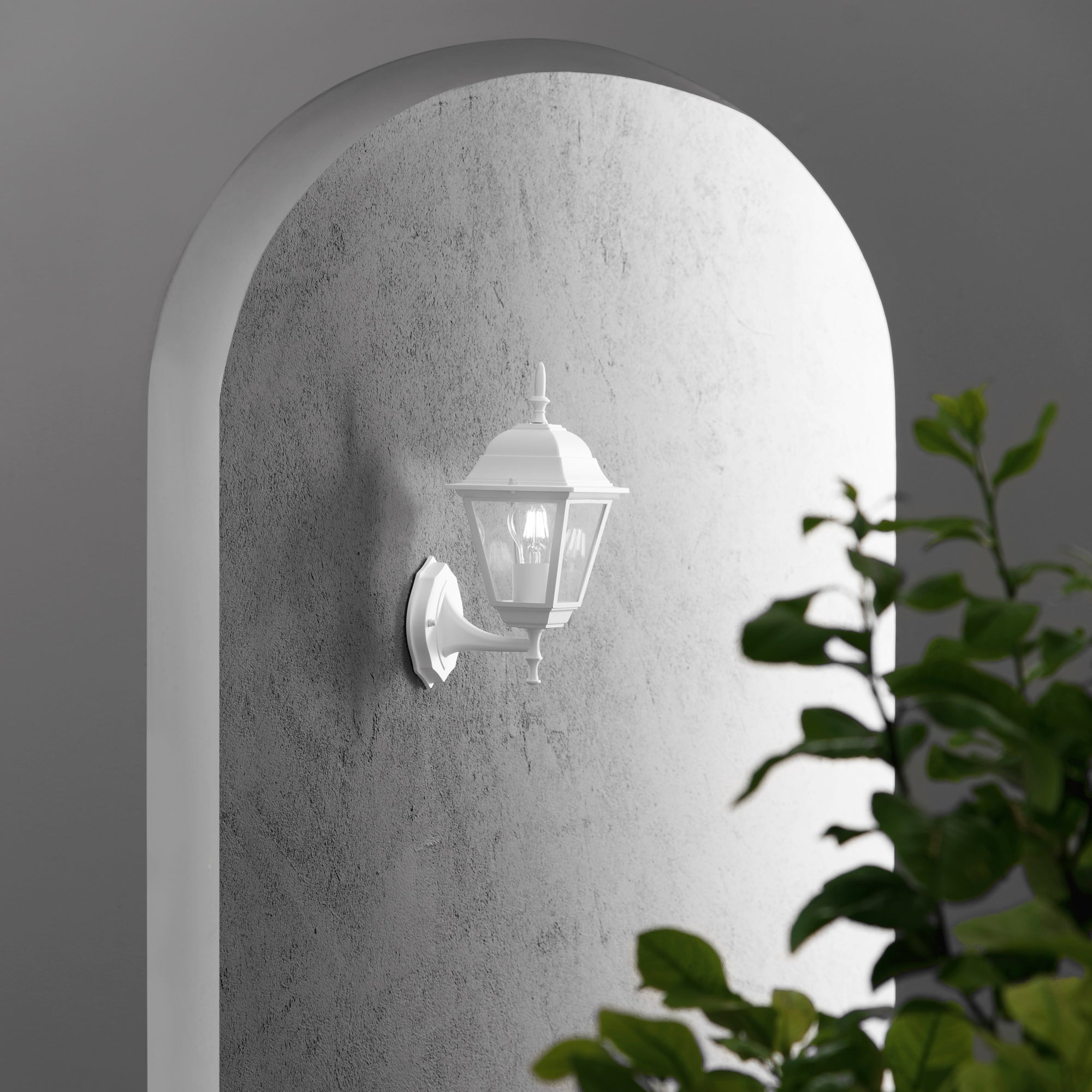 LANT-ROMA_AP1ABCOrid