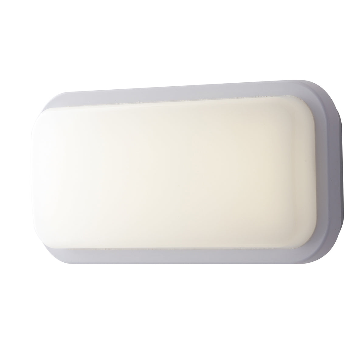 LED-SHELLY-Q-MWBCOrid