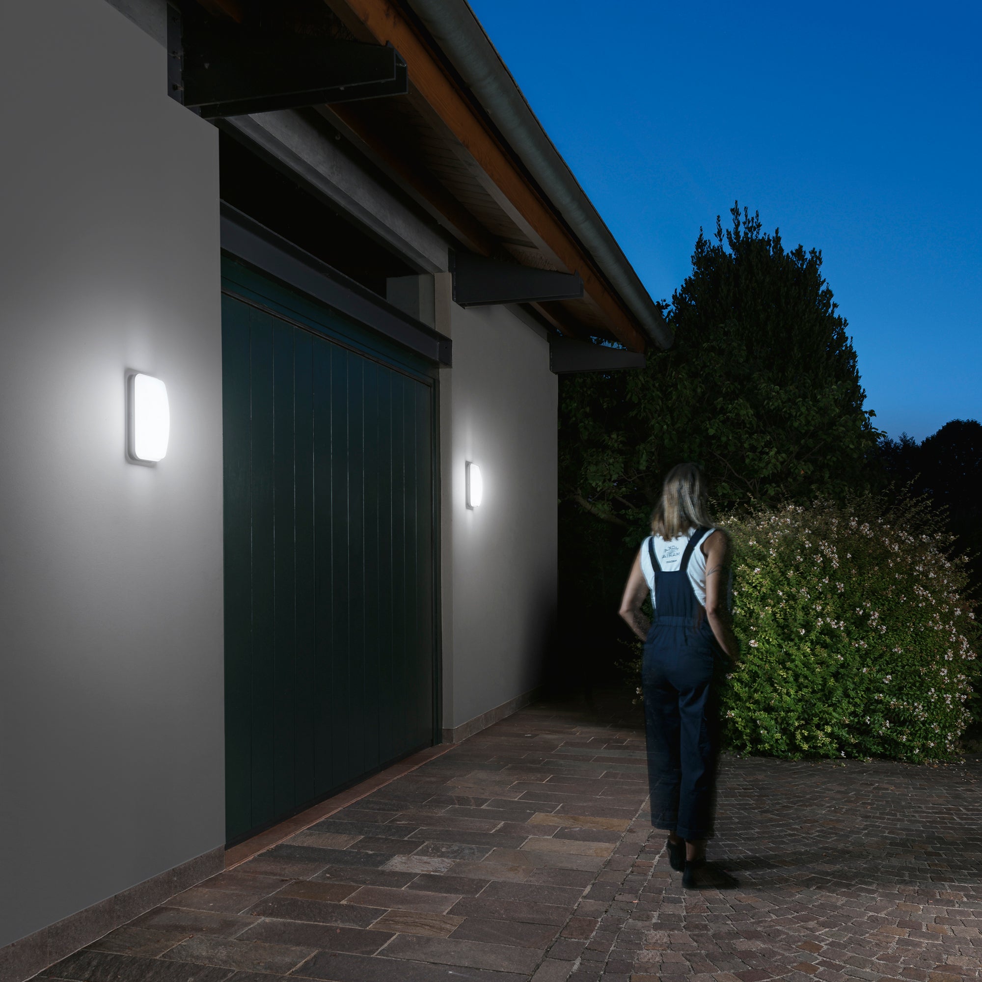 LED-SHELLY-Q-MWBCOrid