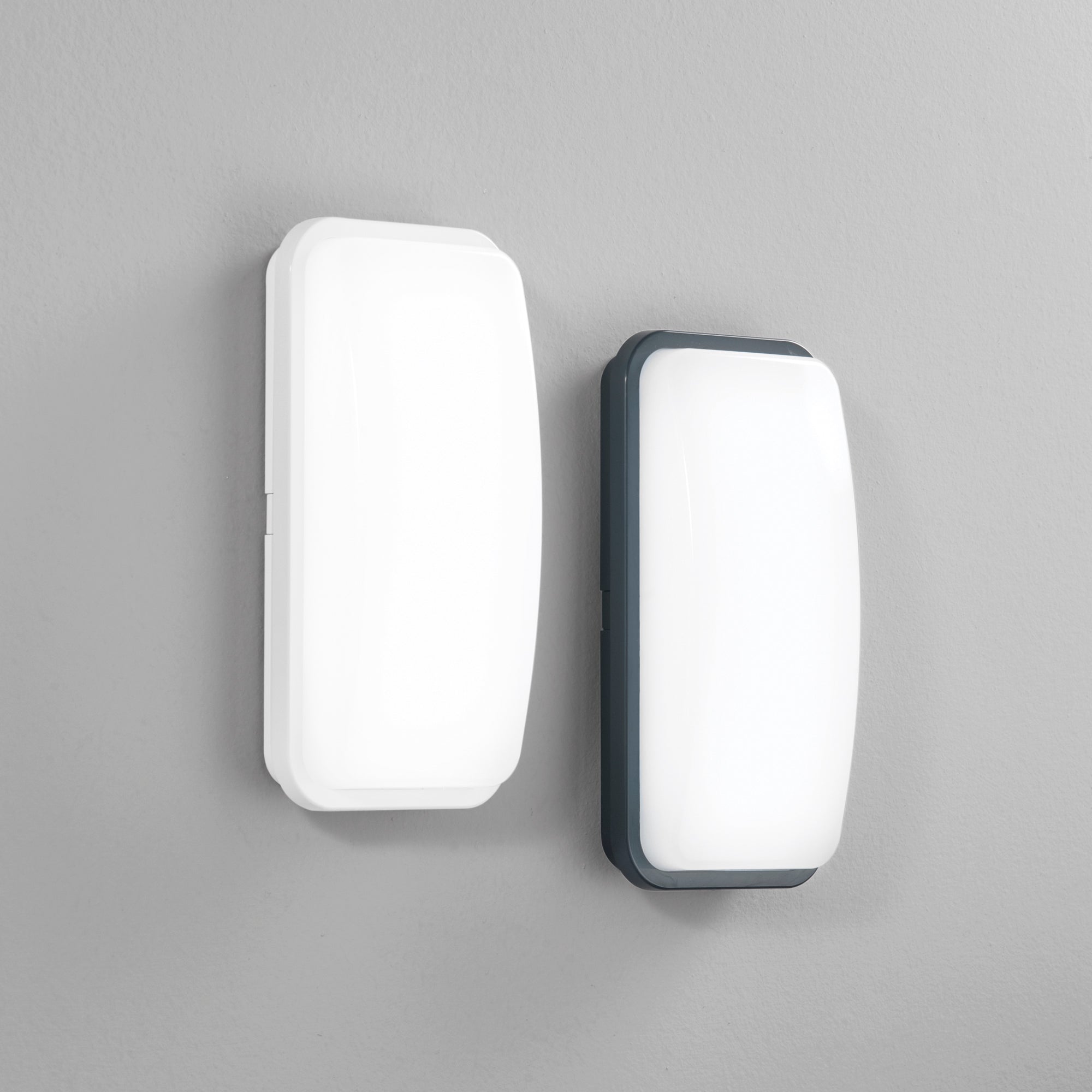 LED-SHELLY-Q-MWBCOrid