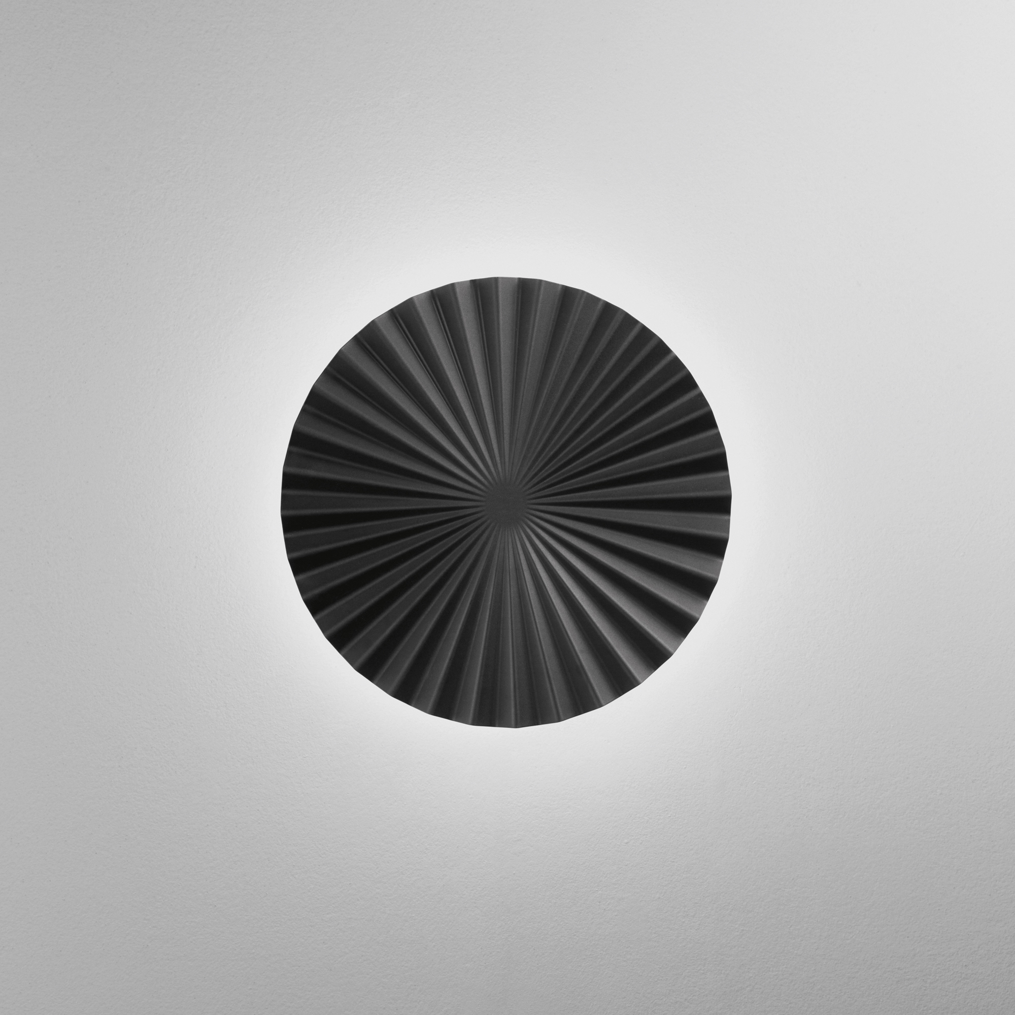 LEDANADARAAPNER_BCO_S