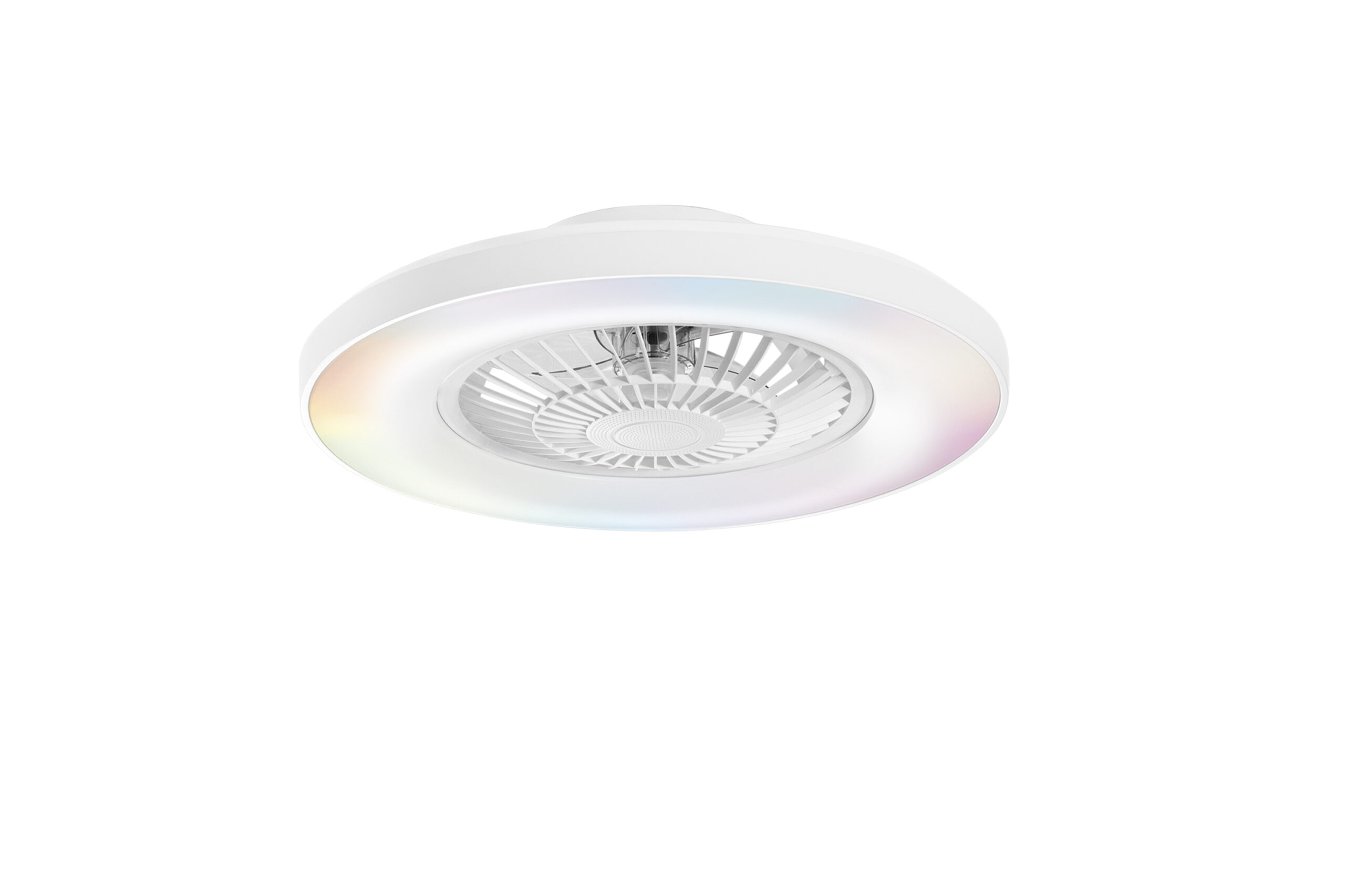 LEDGARBINBCOLUCE_BIANCA_S