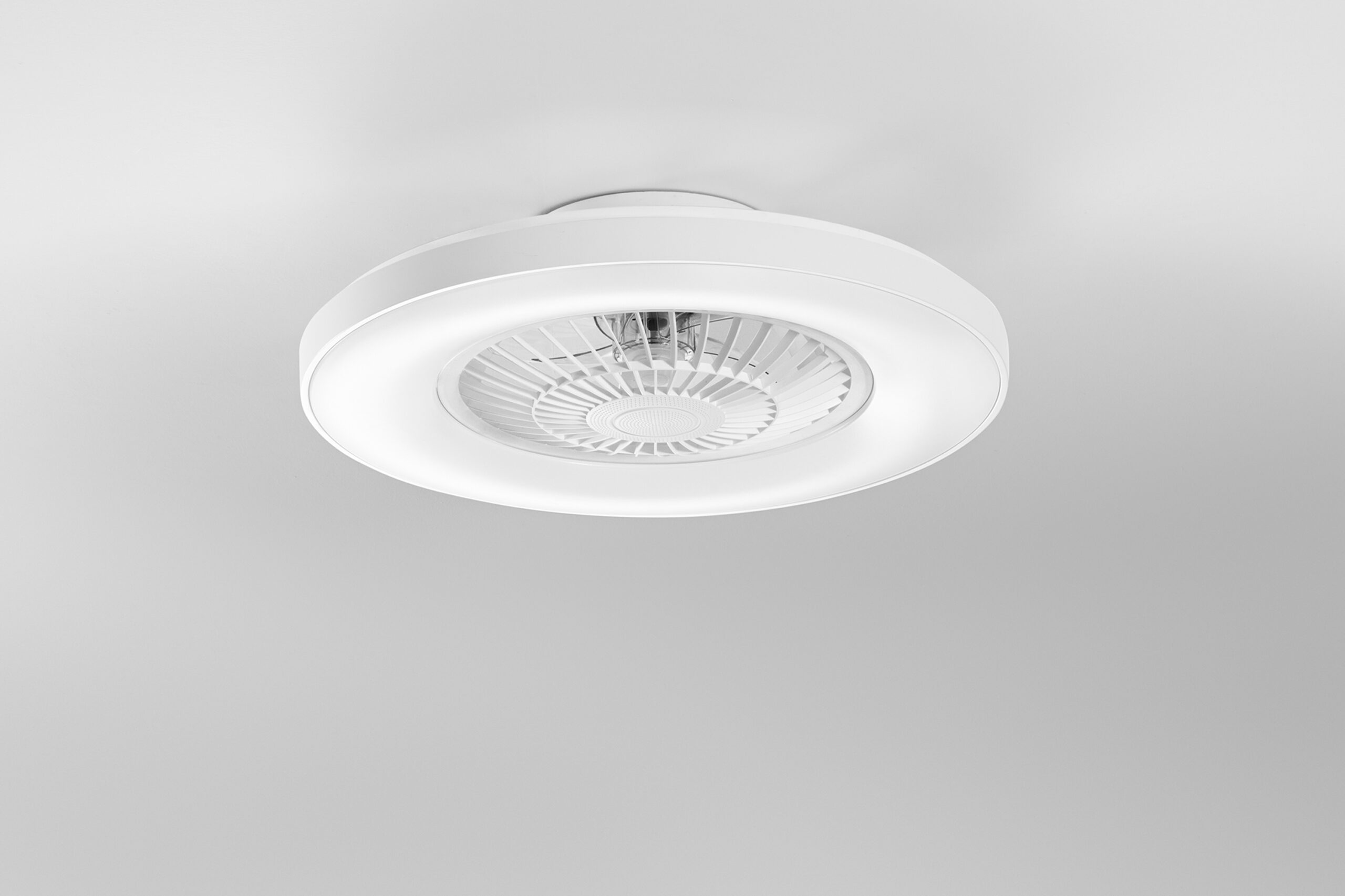 LEDGARBINBCOLUCE_BIANCA_S